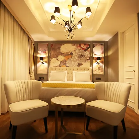 Royal Tophane 酒店 伊斯坦布尔